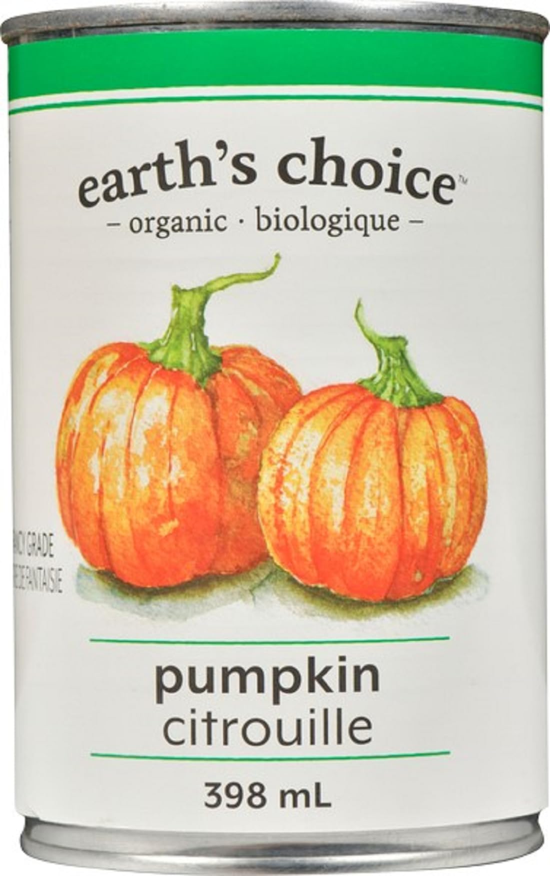 Earth's Choice Organic Pumpkin Puree, 398ml : Amazon.ca: Grocery
